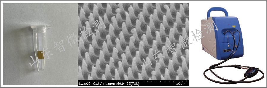 SERS毒品快检及便携式拉曼光谱仪